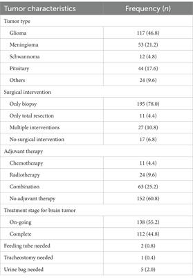 Factors affecting well-being in brain tumor patients: An LMIC perspective